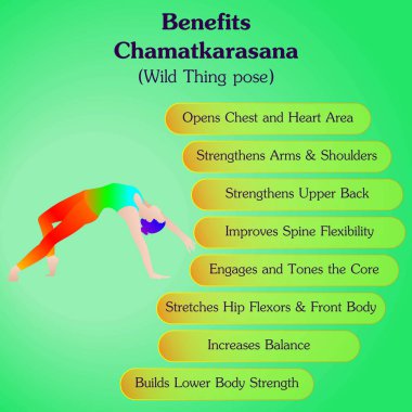 Chamatkarasana yoga pozu çalışmanın faydaları. Vahşi şey yoga pozu. İzole vektör illüstrasyonu