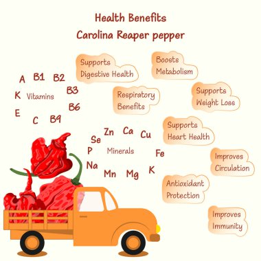 Sağlık sigortası ve Carolina Reaper biberleri veya HP22B 'nin besin maddeleri. Chili biberleri. - Evet. Kamyon biberle dolu. İzole vektör illüstrasyonu.