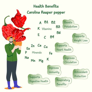 Sağlık sigortası ve Carolina Reaper biberleri veya HP22B 'nin besin maddeleri. Chili biberleri. - Evet. Bir sandık biber tutan çiftçi. İzole vektör illüstrasyonu.