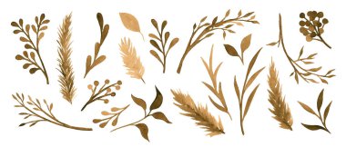 Bej, sepya bitkileri, bitkiler, çiçekler, yapraklar. Suluboya botanikleri.