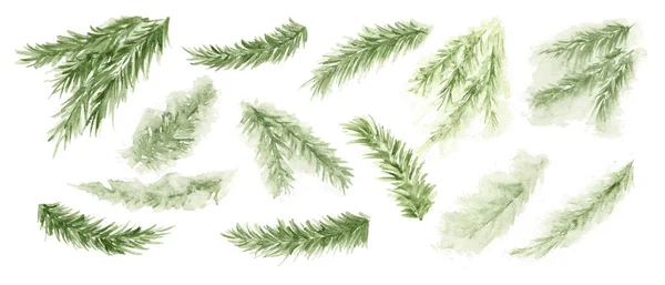 Tallgren Vintergrönt Träd Gran Cederträ Akvarell Vintergröna Växter Semester Dekoration — Stock vektor