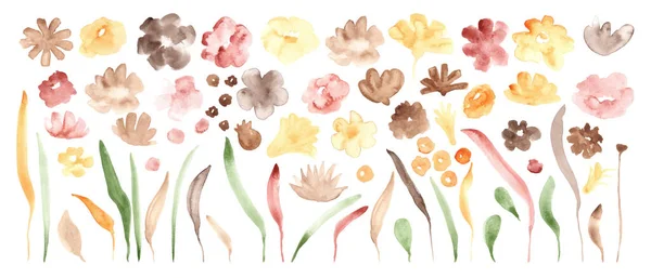 Zestaw Akwareli Kolorowe Kwiaty Jesienna Ciepła Paleta Kolorów Ręcznie Malowane — Wektor stockowy