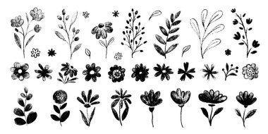 Şirin çiçekli basit karalama botanik sanatı. Çiçekler, yapraklar, yeşillik çizimleri. Boya kalemi vektörü. Bahar, yaz çocuksu çiçekler.