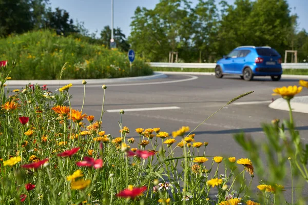 Wildflowers at the traffic circle. Round traffic island with blue road sign. Blue car in the background. Intersection on german road. Germany.
