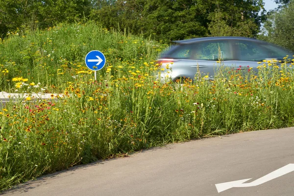 Wildflowers at the traffic circle. Round traffic island with blue road sign. Gray Bike path in the foreground. Intersection on german road. 1 Car motion blurred. Germany.