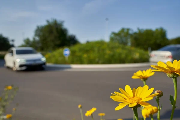Gelbe Wildblumen Vor Der Kreuzung Kreisverkehr Mit Fahrenden Autos Geringe — Stockfoto