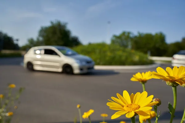 Gelbe Wildblumen Vor Der Kreuzung Kreisverkehr Mit Fahrenden Autos Geringe — Stockfoto