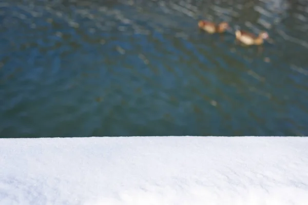 Neve Branca Primeiro Plano Água Lagoa Azul Escura Fundo Patos — Fotografia de Stock
