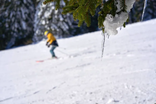 Lodowce Koninie Śniegiem Zimie Bardziej Skoczny Rozmazie Sporty Zimowe Czarnym — Zdjęcie stockowe