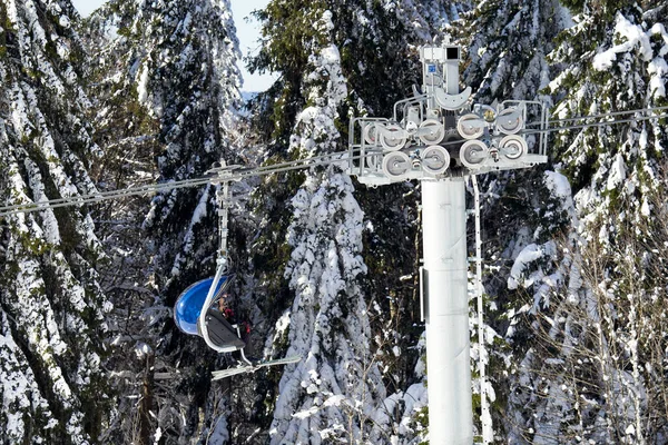 Фельдберг Німеччина Лютого 2023 Підйомник Людьми Взимку Хвойні Дерева Снігом — стокове фото