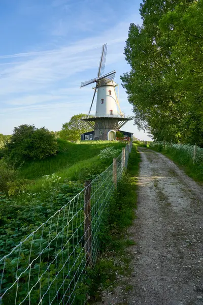 stock image Windmill ( de koe ) before a blue morning sky. Technical building from dutch culture in nature. Landscape with fence and hiking trail. Netherlands, Zeeland, Domburg.