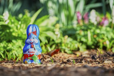 Stuttgart, Almanya - 30 Mart 2025: Çocuklardan kalma mavi bir paskalya tavşanı, kırmızı benekli bir yay ile mavi folyoya sarılı, yeşillik, çiçekler ve renklerle çevrili toprakta duruyor..