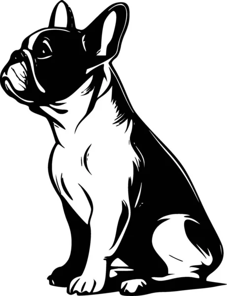 法国斗牛犬 高质量的矢量标识 用于T恤衫图形的矢量图形理想 — 图库矢量图片