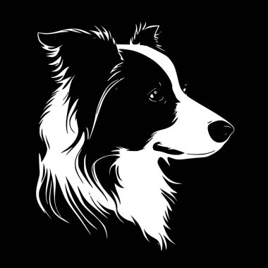 Border collie - yüksek kaliteli vektör logosu - t-shirt grafiği için ideal vektör çizimi