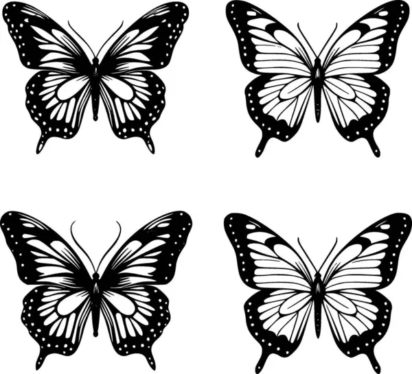 Butterflies Black White Vector Illustration — Stock Vector