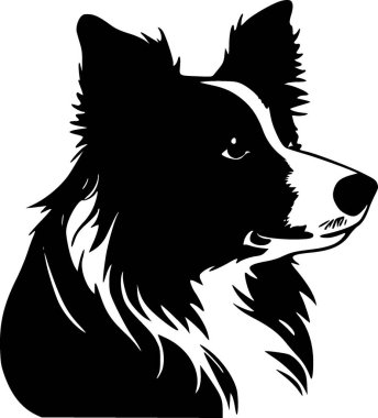 Border collie - siyah ve beyaz vektör çizimi