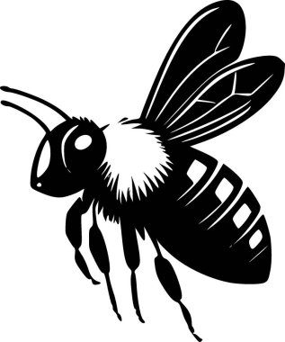Bal arısı - siyah beyaz vektör çizimi