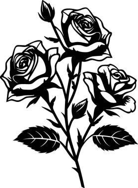 Güller - siyah ve beyaz vektör çizimi