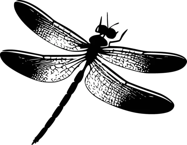 Dragonfly High Quality Vector Logo Vector Illustration Ideal Shirt Graphic — Stock Vector