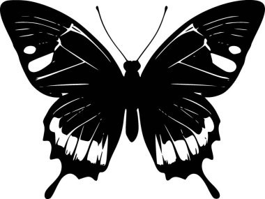 Butterfly - black and white vector illustration clipart