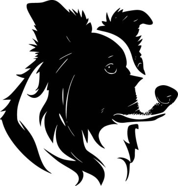 Border collie - siyah ve beyaz vektör çizimi