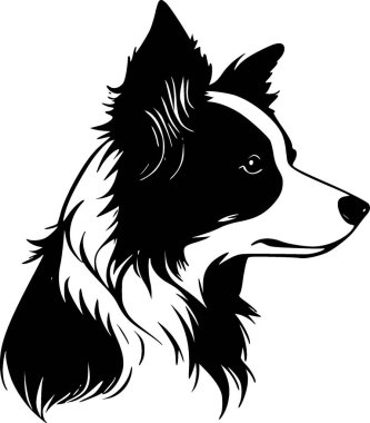 Border collie - siyah ve beyaz izole edilmiş ikon - vektör illüstrasyonu