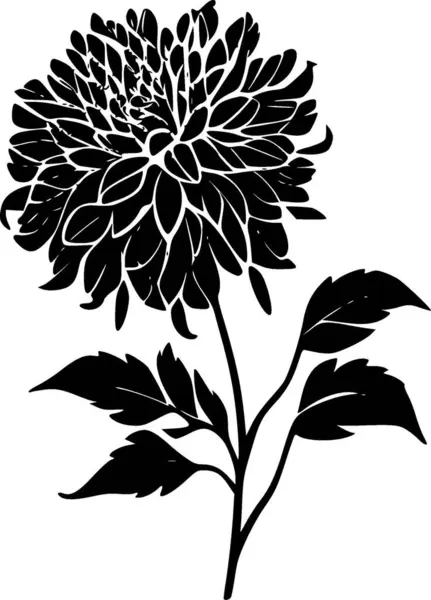 stock vector Dahlia flower - minimalist and simple silhouette - vector illustration