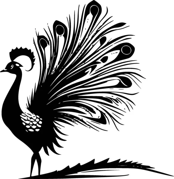Peacock Fekete Fehér Vektor Illusztráció — Stock Vector