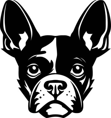 Boston Terrier - minimalist ve düz logo - vektör illüstrasyonu