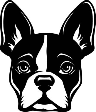 Boston terrier - yüksek kaliteli vektör logosu - t-shirt grafiği için ideal vektör çizimi