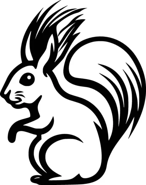 Squirrel Black White Vector Illustration — Stock Vector