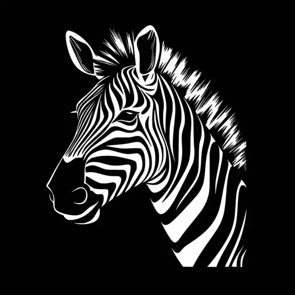 Zebra Черно Белая Векторная Иллюстрация — стоковый вектор