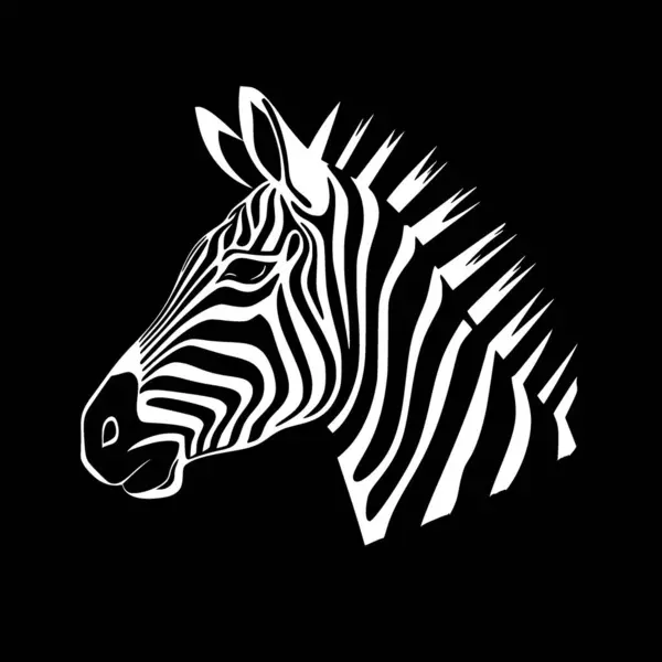 Zebra Black White Vector Illustration — Stock Vector