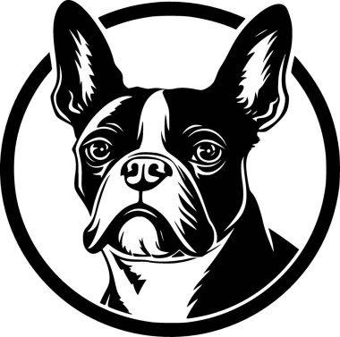 Boston Terrier - siyah-beyaz vektör çizimi