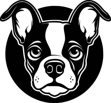 Boston Terrier - siyah ve beyaz izole edilmiş ikon - vektör illüstrasyonu