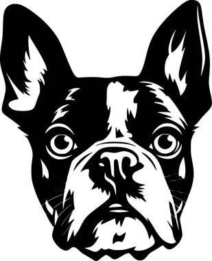 Boston Terrier - siyah-beyaz vektör çizimi