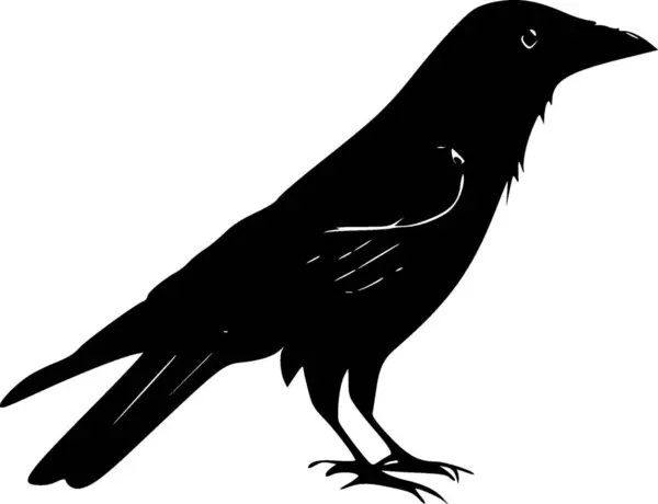 stock vector Crow - minimalist and simple silhouette - vector illustration