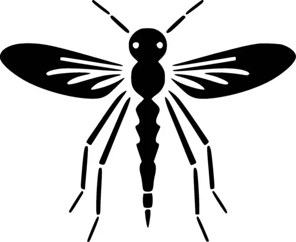 Mosquito Černobílá Vektorová Ilustrace — Stockový vektor