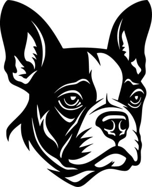 Boston Terrier - siyah-beyaz vektör çizimi