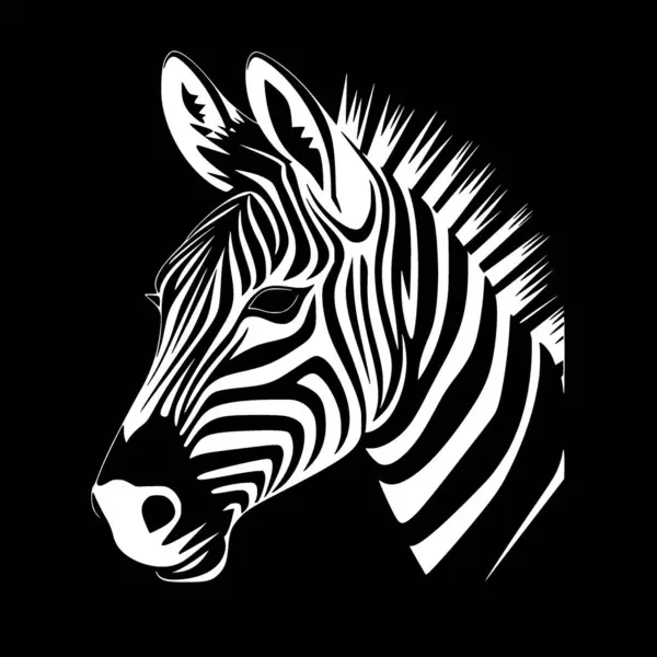 Zebra Черно Белая Векторная Иллюстрация — стоковый вектор