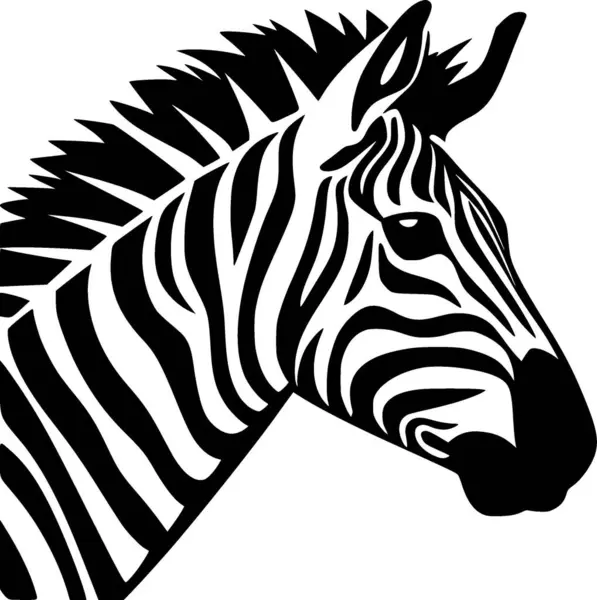 stock vector Zebra - black and white vector illustration