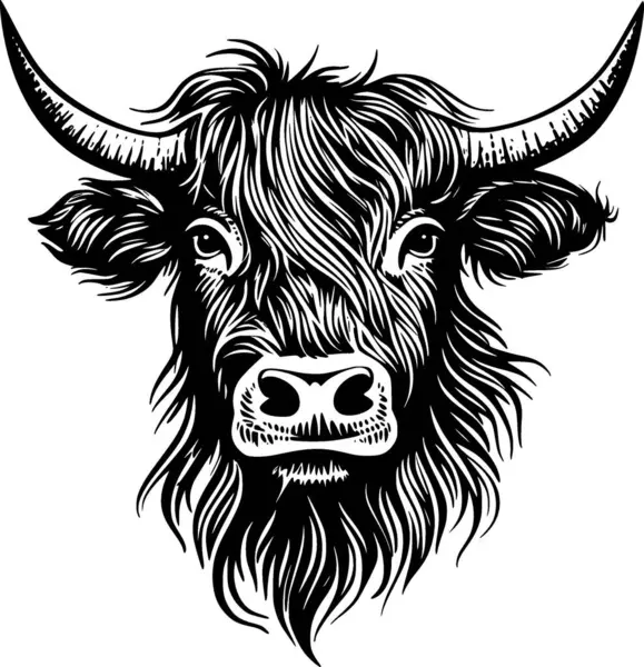 stock vector Highland cow - black and white vector illustration