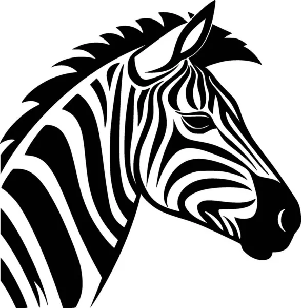 Zebra Ilustração Vetorial Preto Branco —  Vetores de Stock