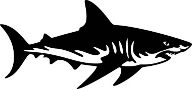 Köpekbalığı - siyah ve beyaz vektör illüstrasyonu