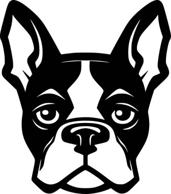 Boston terrier - black and white vector illustration clipart