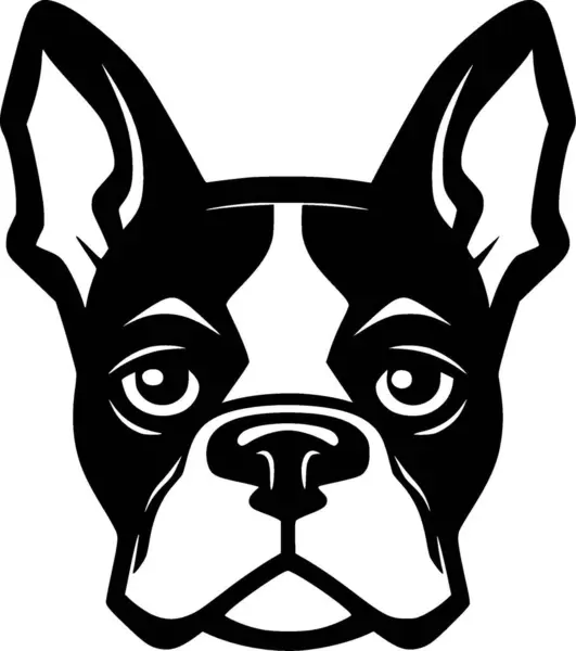 Boston Terrieri Mustavalkoinen Vektori Kuvitus tekijänoikeusvapaita kuvituskuvia