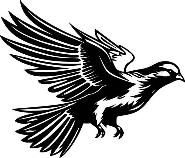 Pigeon Sort Hvid Vektor Illustration – Stock-vektor