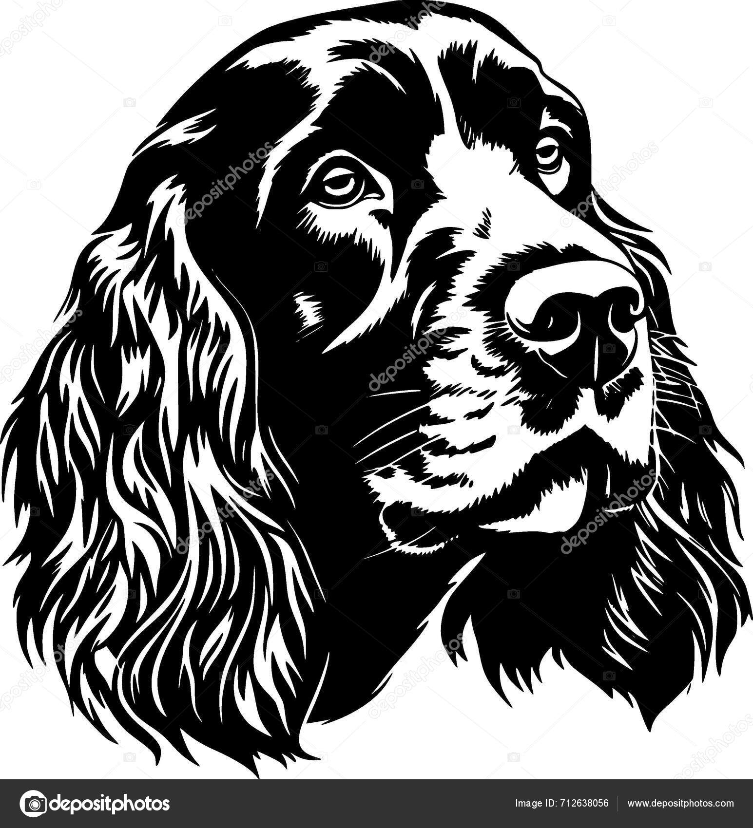 Poster Race De Chien Cocker Spaniel Museau, Croquis De Graphiques Vectoriels Dessin Noir Et Blanc 161768630