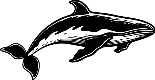 stock vector Whale - black and white vector illustration