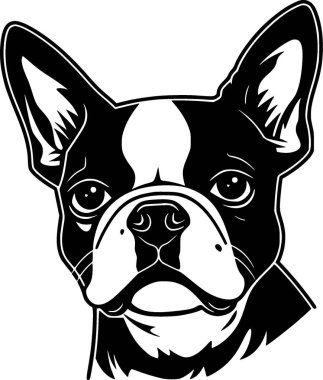 Boston terrier - yüksek kaliteli vektör logosu - t-shirt grafiği için ideal vektör çizimi